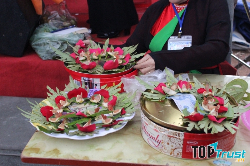 Trầu têm cánh phượng