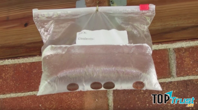 Vậy nên dùng túi nilon trắng chứa nước là một mẹo hay để đuổi ruồi bởi túi đó như 1 tấm gương phản chiếu hình dáng đồ vật và khối nước luôn ở trạng thái linh độn