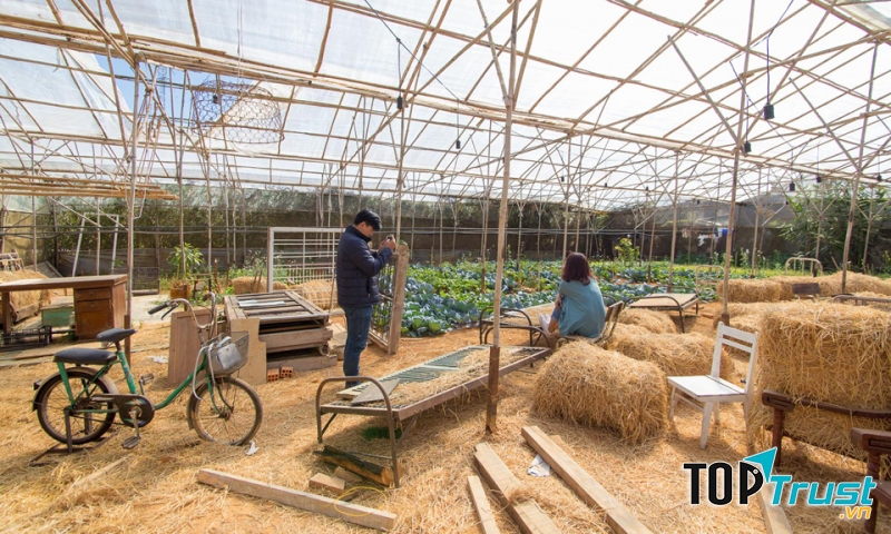 Tre’s House có hẳn một khu vườn tuyệt đẹp