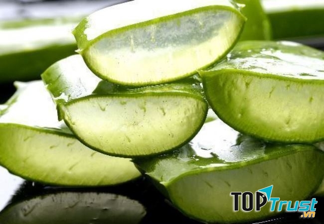 Nha đam có thể chữa được bệnh tiểu đường