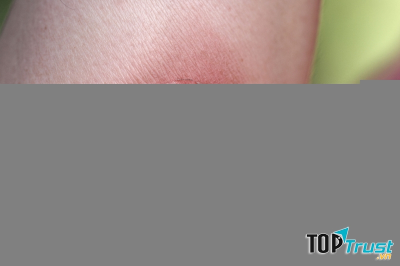 Ảnh minh họa - nguồn internet