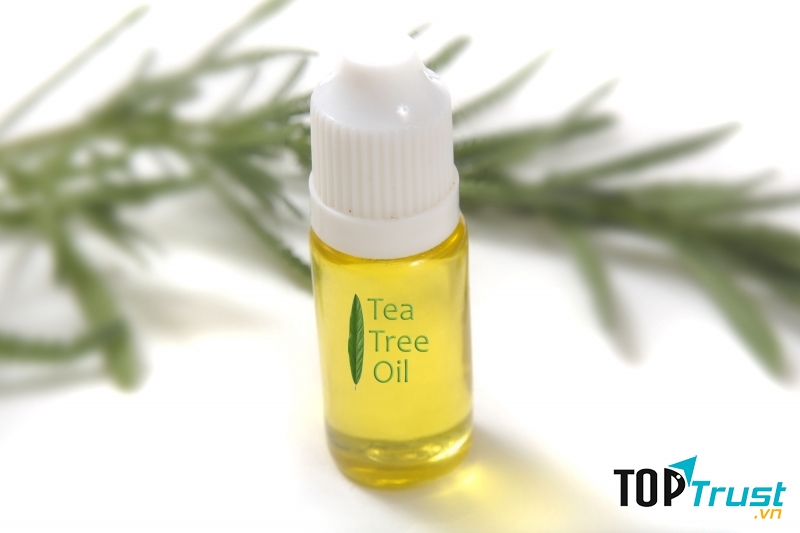 Tinh dầu cây trà