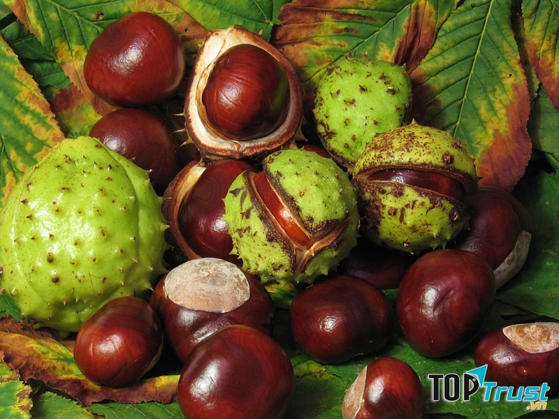 Trị chứng mất ngủ