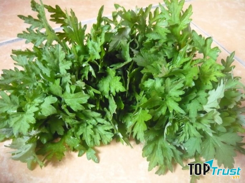 Ngải cứu - bài thuốc tốt chữa bệnh xương khớp