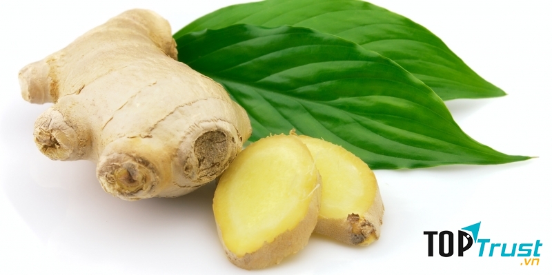 Củ gừng - bài thuốc tốt chữa bệnh xương khớp