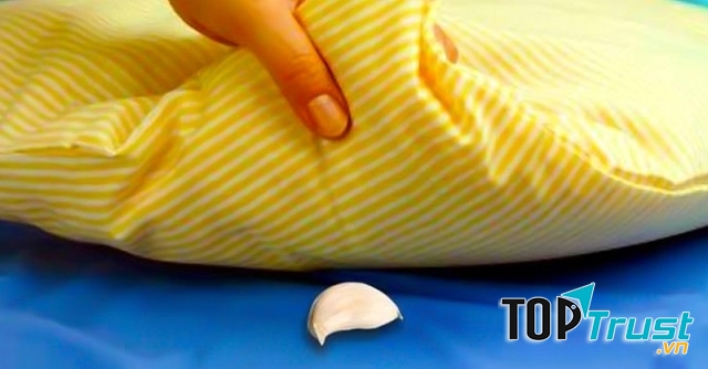 Đặt tỏi dưới gối giúp bạn ngủ sâu giấc