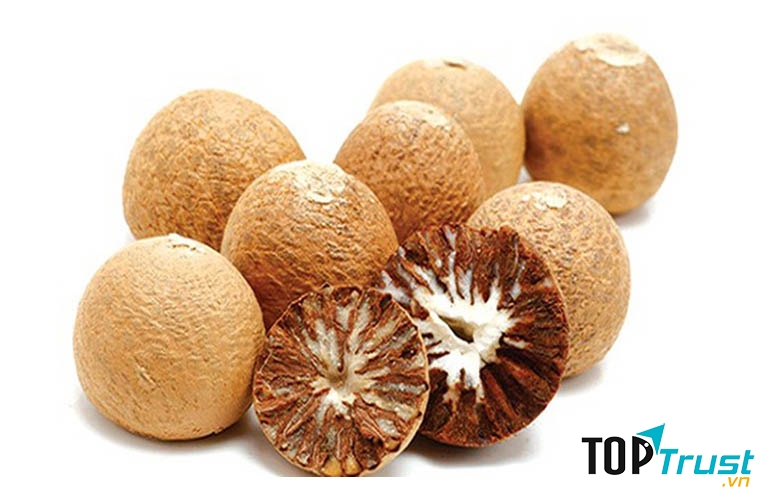 Trị giun sán bằng hạt cau