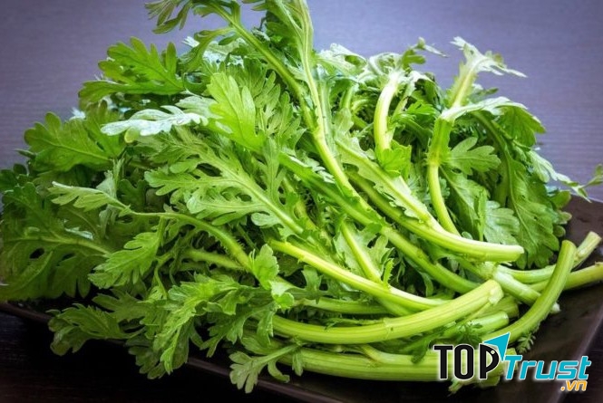 Trị ho bằng cải cúc