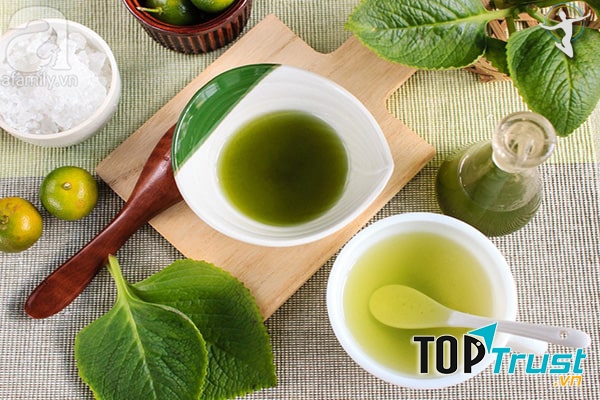 Trị ho bằng lá húng chanh