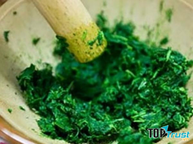 Dùng phần rau diếp cá đã giã nát hoặc nước ép diếp cá đắp lên mặt