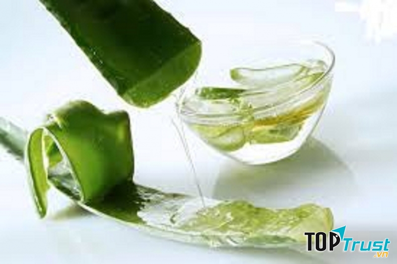 Lá nha đam giúp giải nhiệt, nguyên liệu trị mụn từ thiên nhiên vô cùng mới lạ, hữu ích.