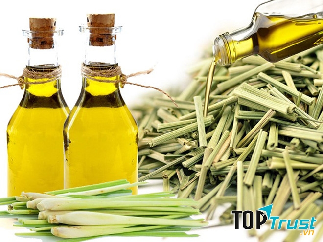 Bạn lấy một lượng tinh dầu sả bôi lên móng bị nấm liên tục trong nhiều ngày sẽ giúp kháng khuẩn, làm sạch móng, loại bỏ triệu chứng bệnh hiệu quả.