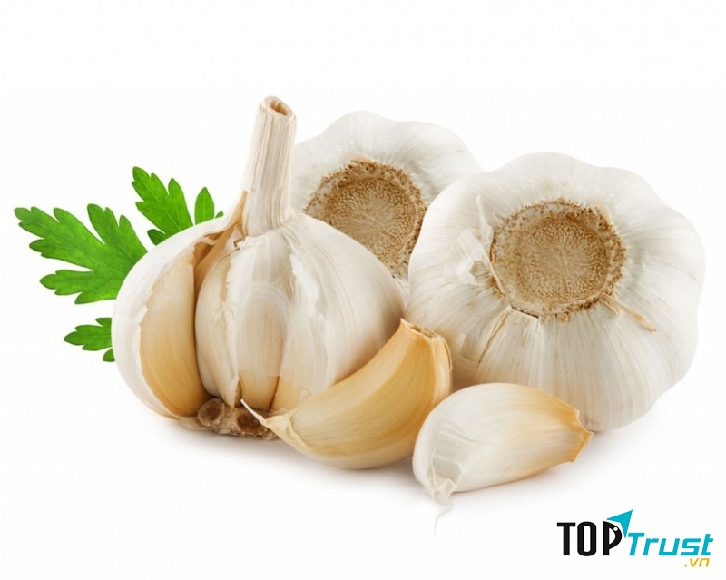 Tỏi vừa là gia vị vừa là vị thuốc