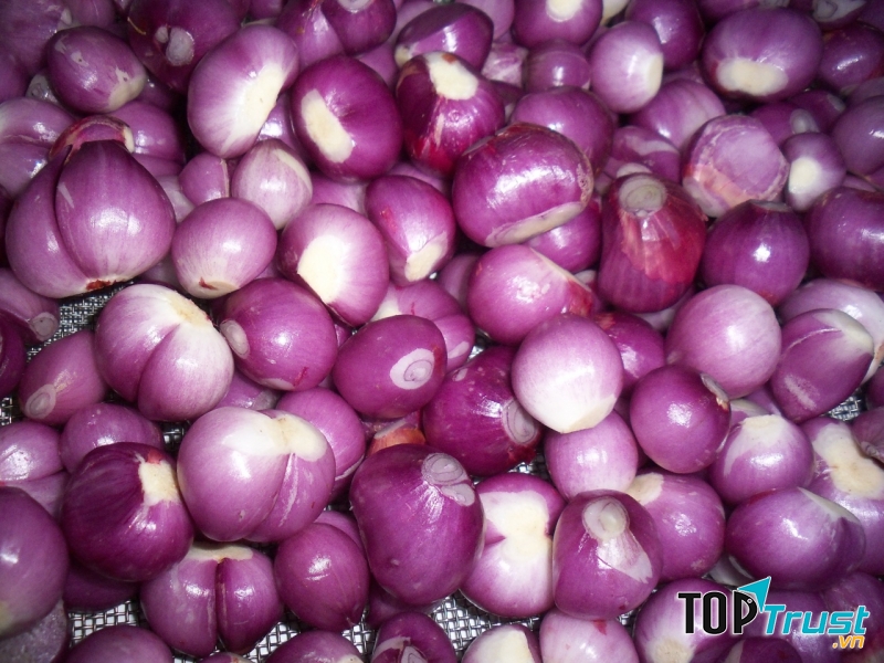 Hành tím trị rụng tóc