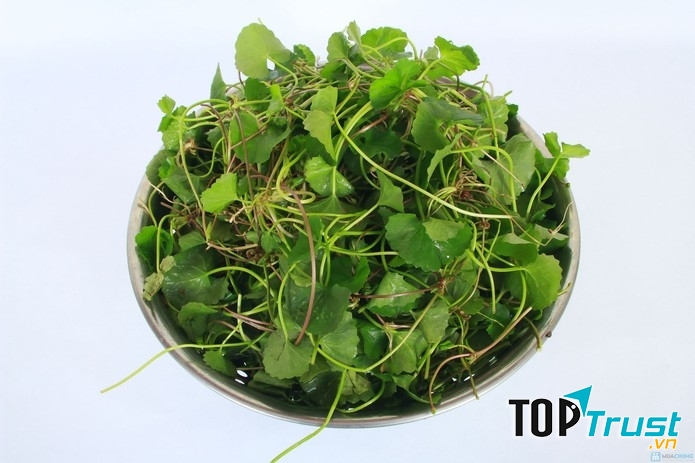 Trị sẹo thâm bằng cây rau má