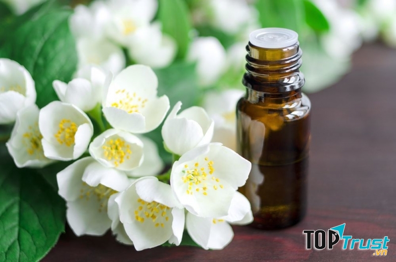 Trị sẹo thâm bằng tinh dầu hoa tường vi