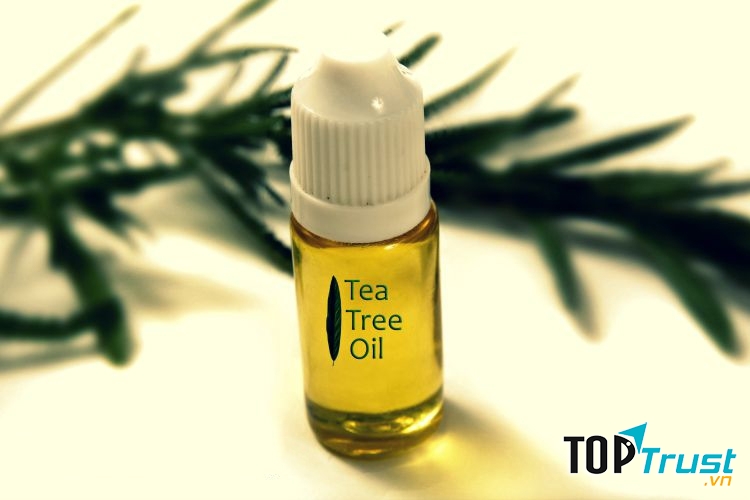 Trị sẹo thâm bằng tinh dầu trà xanh