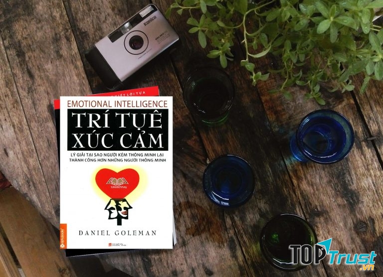 Trí Tuệ Xúc Cảm
