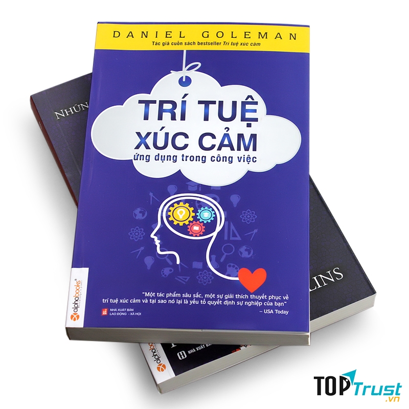 Bìa cuốn sách Trí Tuệ Cảm Xúc Ứng Dụng Trong Công Việc