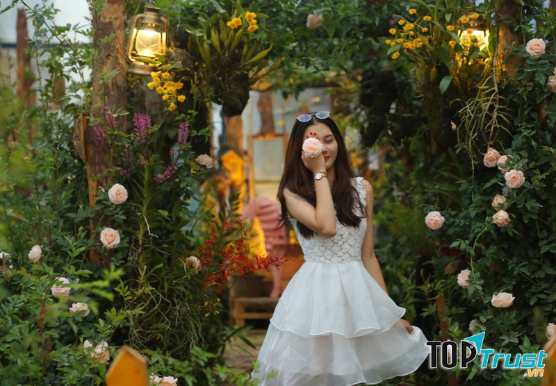 Triệu Đóa Hồng