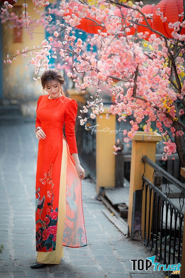 Trinh Nguyễn Studio