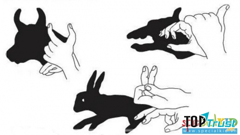 Tạo hình con vật từ đôi tay