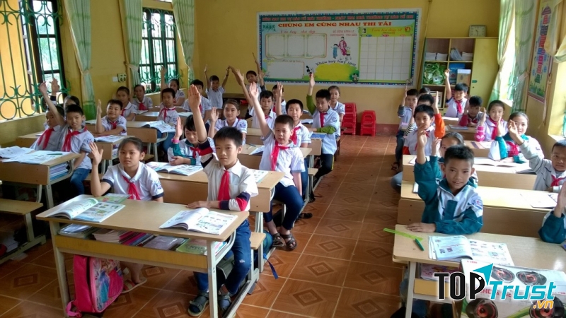 Ảnh minh họa (Nguồn: Internet)
