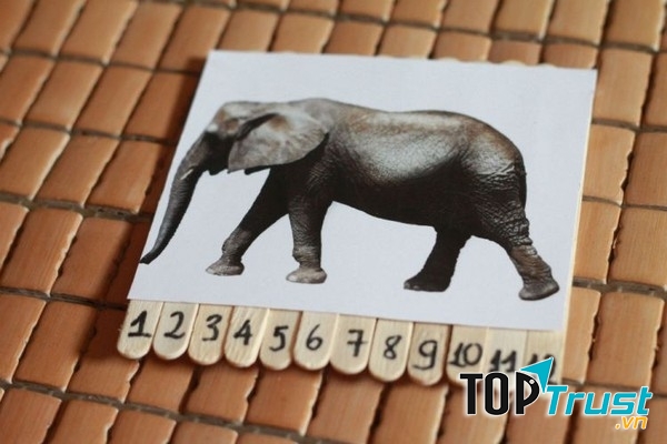 Đánh số thứ tự cho các que kem