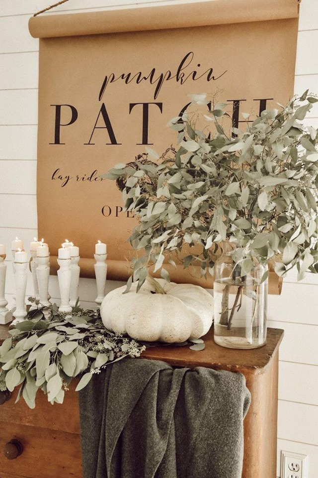 Cành trang trí cho phòng khách, bếp  hay bán ăn đều đẹp.