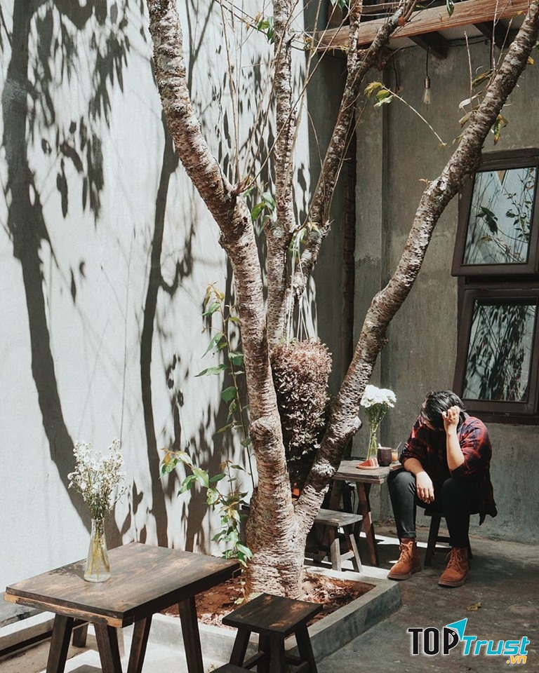 Những tia sáng nhẹ nhàng rọi xuống từng góc nhỏ