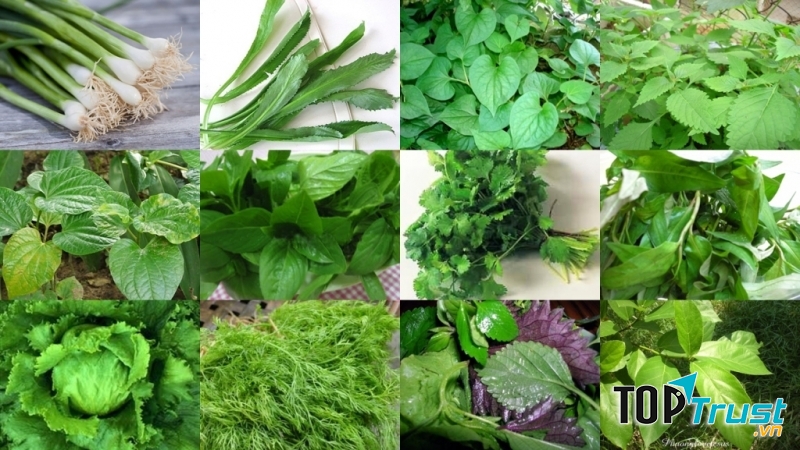 Trồng các loại cây gia vị
