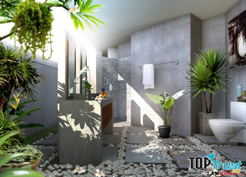 Cây xanh trong văn phòng làm việc cung cấp cho bạn không chỉ giá trị thẩm mỹ.