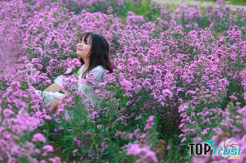 Không thể không yêu một vườn hoa, một chàng trai tâm lí như thế!