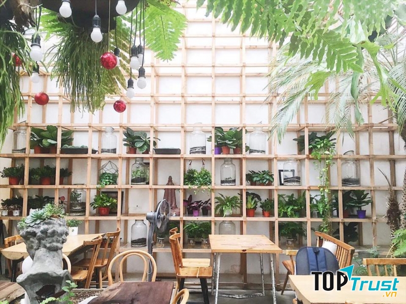 Tropical Forest Coffee