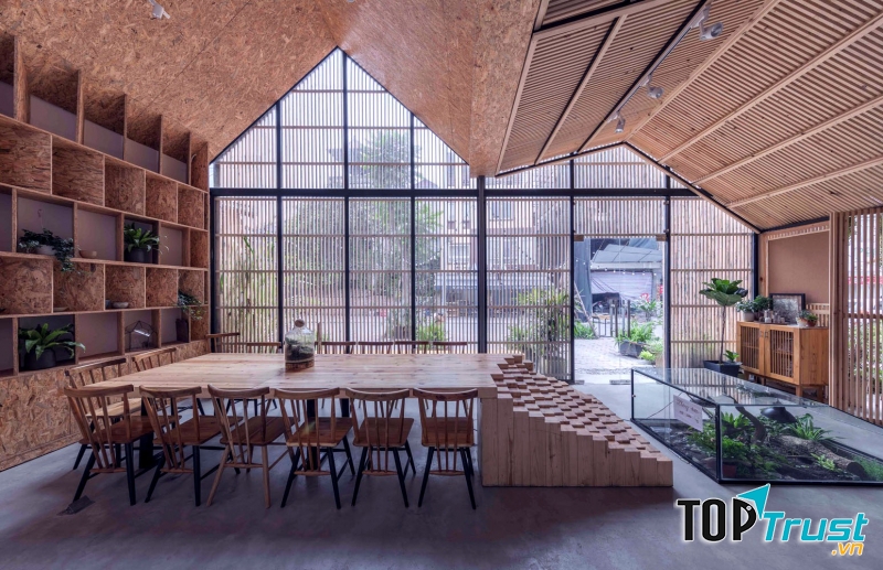 Tropical Forest Coffee