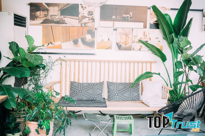 Tropical Forest Coffee