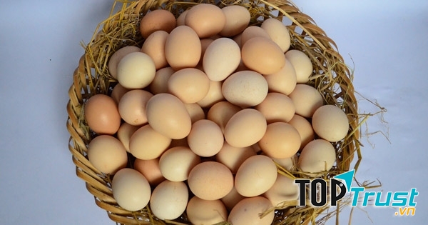 Trứng còn được biết đến với công dụng giúp tóc nhanh mọc hơn. 