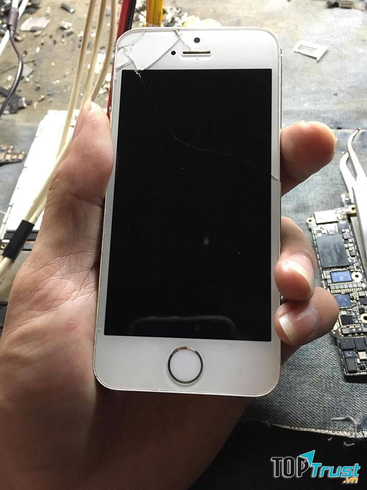 Trung Apple Store