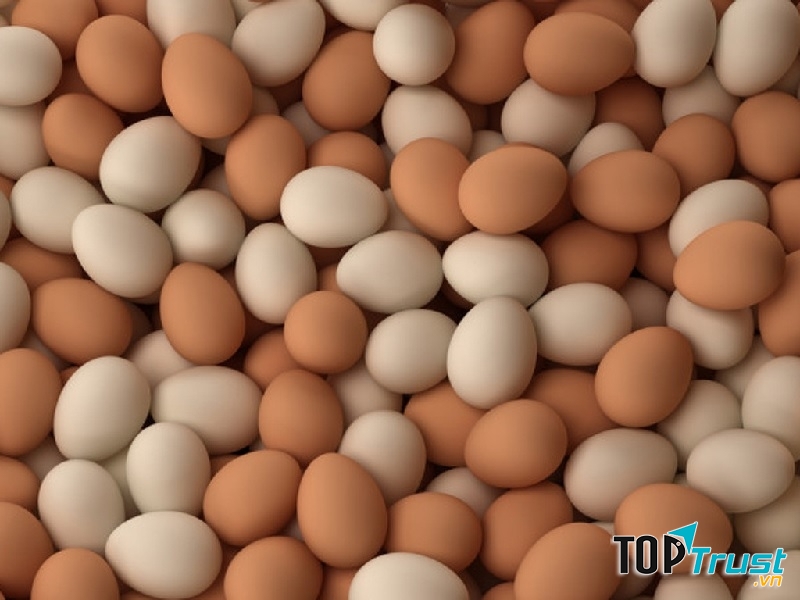 Trứng gà cung cấp choline và vitamin B