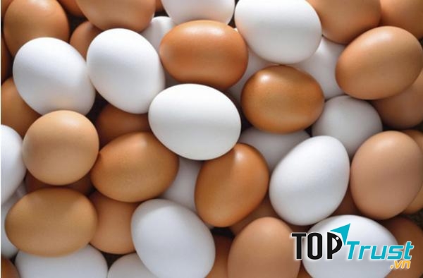 Ảnh minh họa - nguồn internet