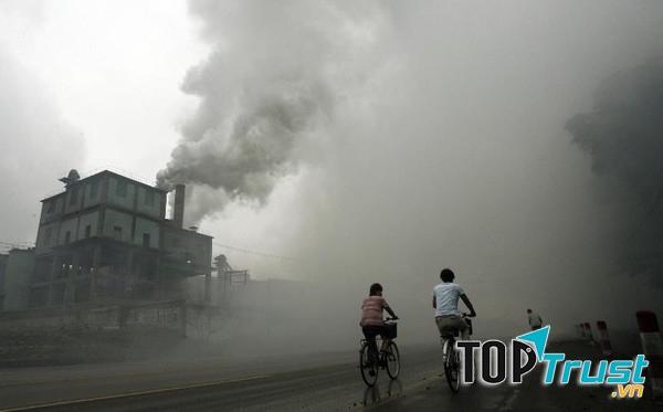 Từ ô nhiễm khí thải