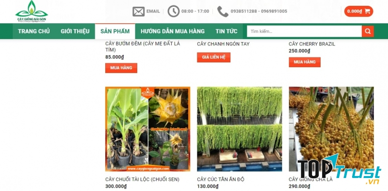 Trung tâm cây giống Sài Gòn