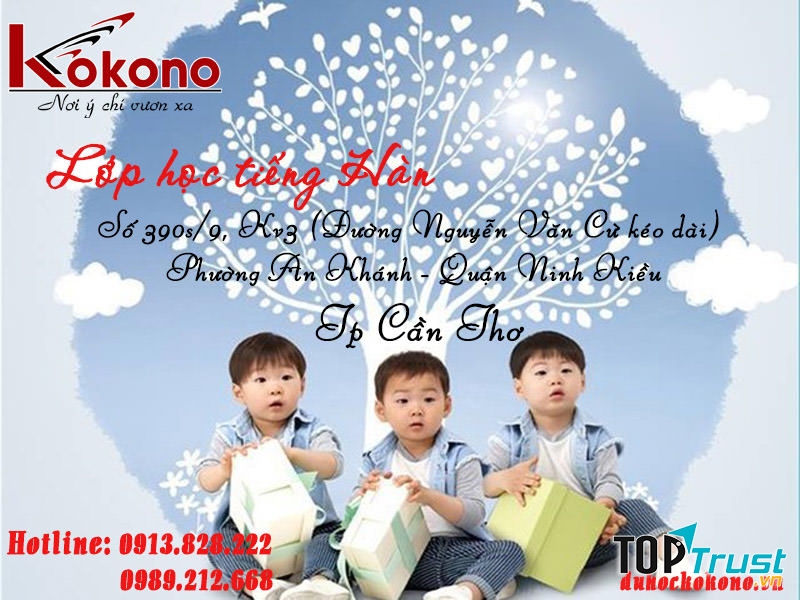 Trung tâm đào tạo tiếng Hàn Kokono Cần Thơ