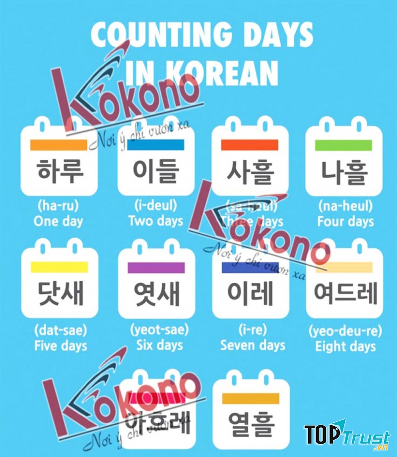 Trung tâm đào tạo tiếng Hàn Kokono Cần Thơ