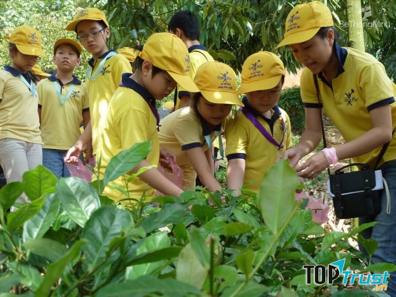 Khóa học hè đầy bổ ích cho trẻ