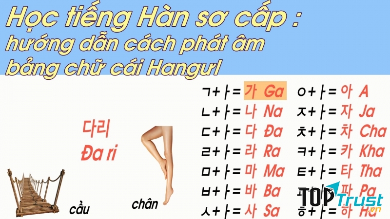 Trung tâm ĐTQT Zenith