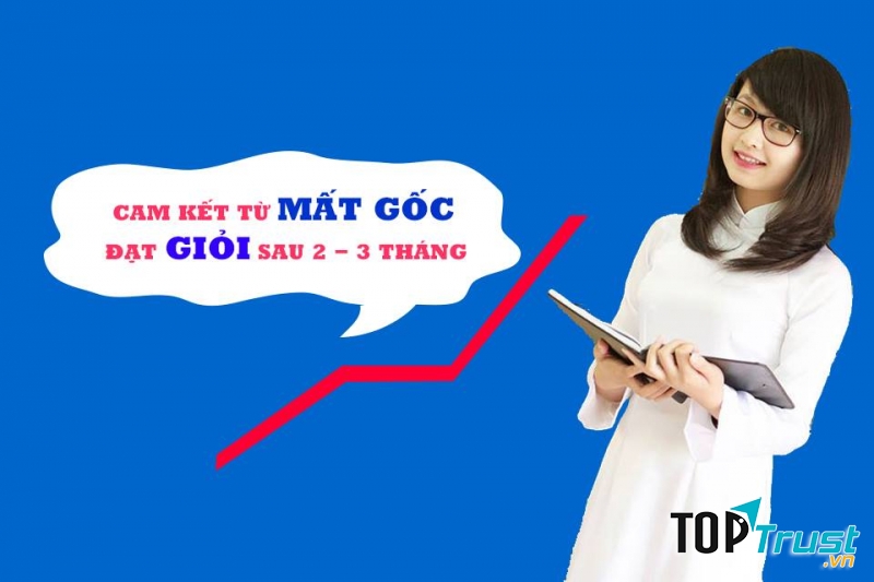 Trung tâm gia sư Trí Việt