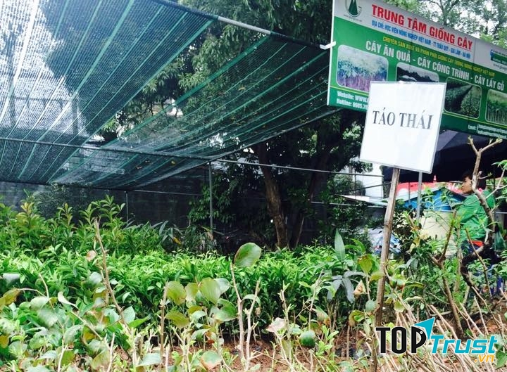 Trung tâm giống cây trồng - Đại học Nông nghiệp 1