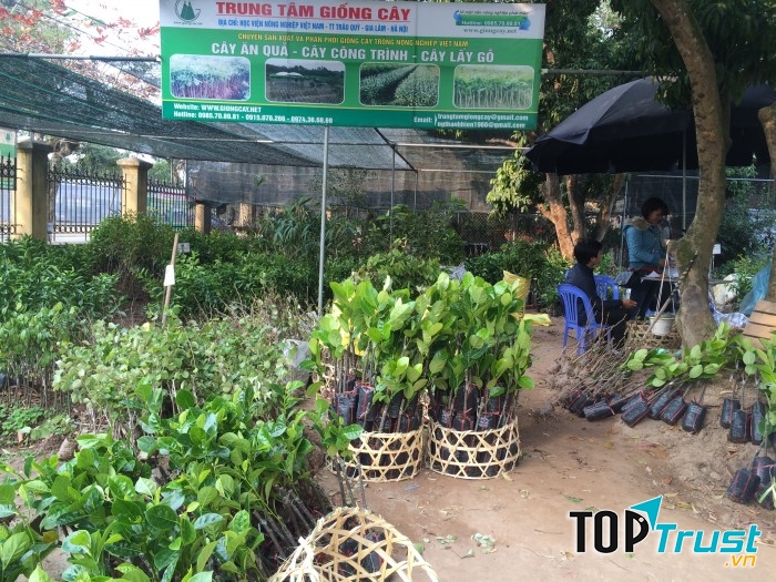 Trung tâm giống cây trồng - Đại học Nông nghiệp 1