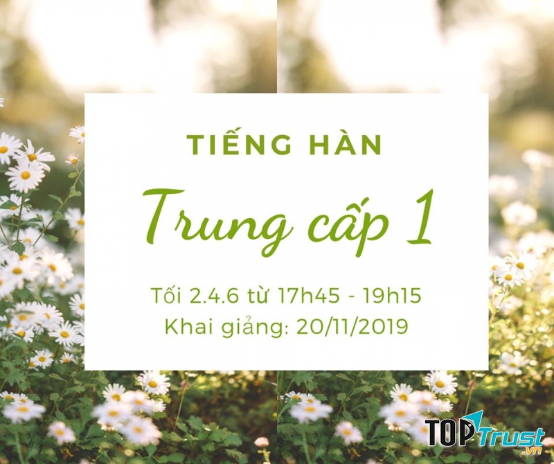Trung tâm Hàn ngữ Han Sarang